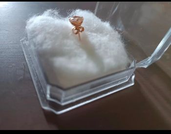 Boucle d'oreille 750