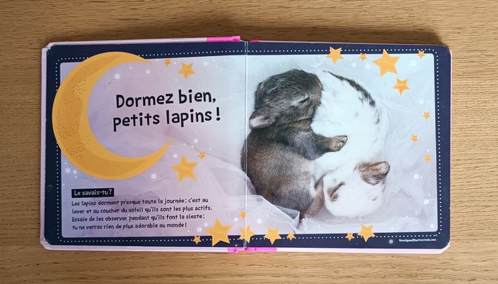 LOT : 3 Livres enfant 1 an + - photo numéro 4