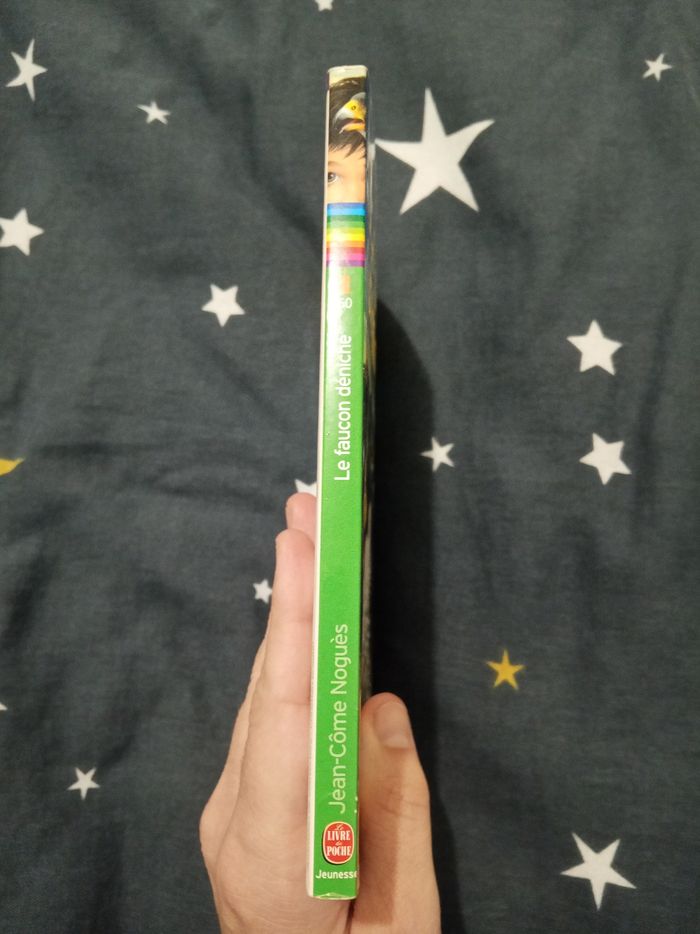 Livre (100) 📚 Le faucon déniché - photo numéro 3