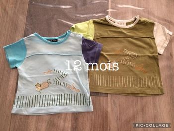 2 Tshirts manches courtes 12 mois