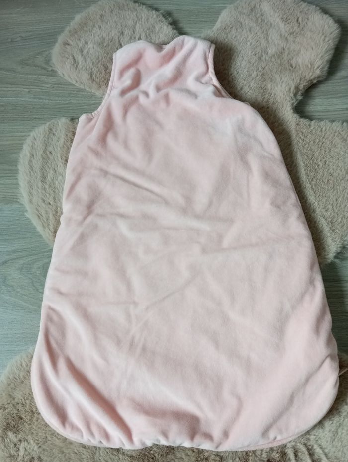 Gigoteuse Orchestra lapin - photo numéro 2