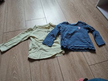 lot de deux tee shirt ML 24 mois