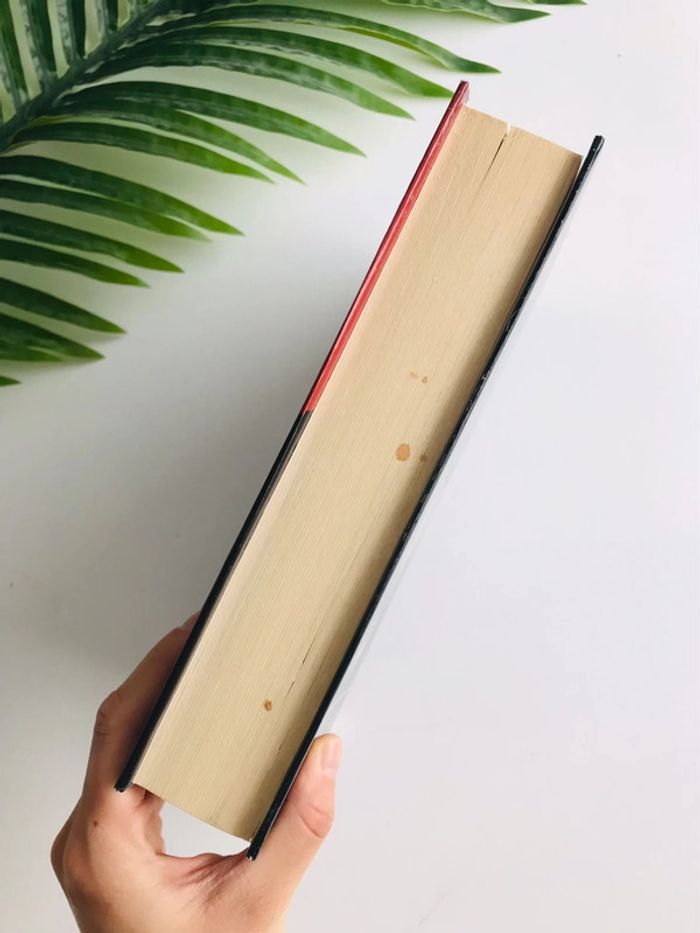 Tantzor Paul loup sulitzer - photo numéro 3