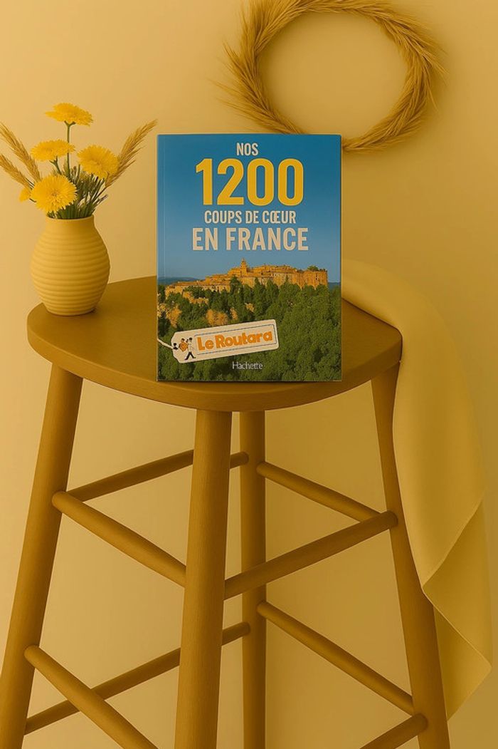 Livre Le routard Nos 1200 coups de cœur en France