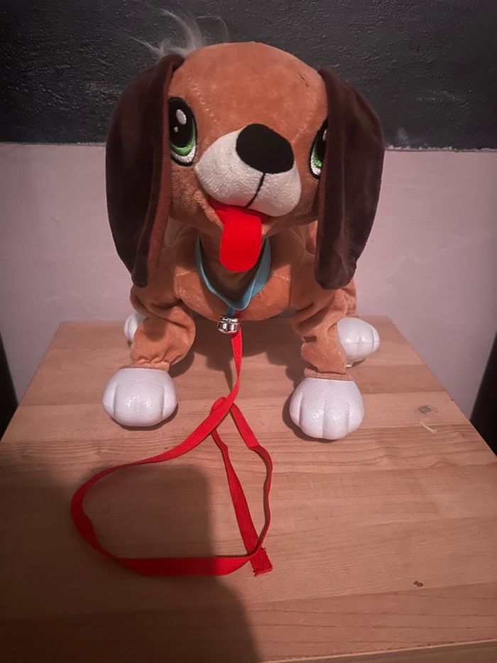 Toufou le chien qui marche sans pile - photo numéro 2