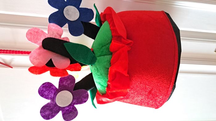 Déguisement enfant - photo numéro 4