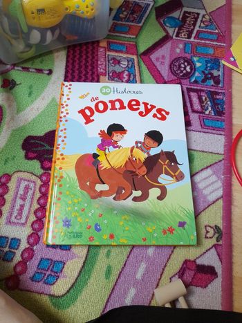 Livre 30 histoires de poney