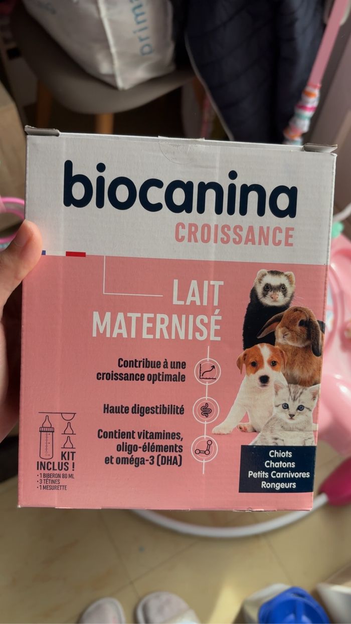 Lait chiot chaton petit carnivore, rongeur