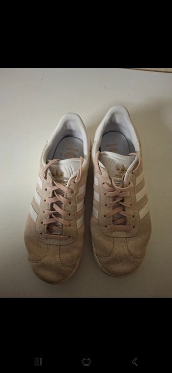 Gazelle rose roses claires et blanches