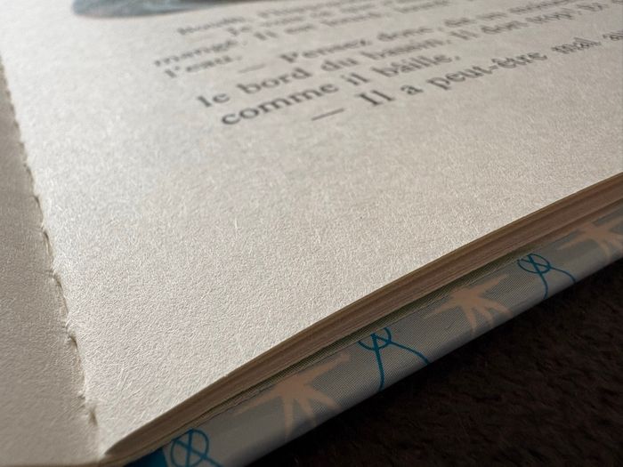 Martine au zoo - photo numéro 4