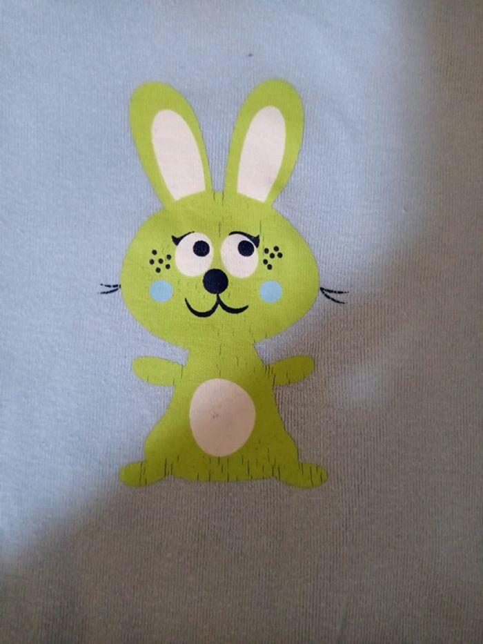 Lot 5 bodys manches longues - photo numéro 7