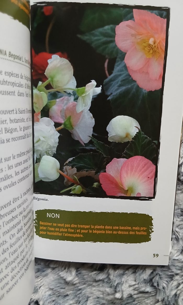 Neuf: Livre " Fleurir son balcon" Jardinage pratique - photo numéro 10