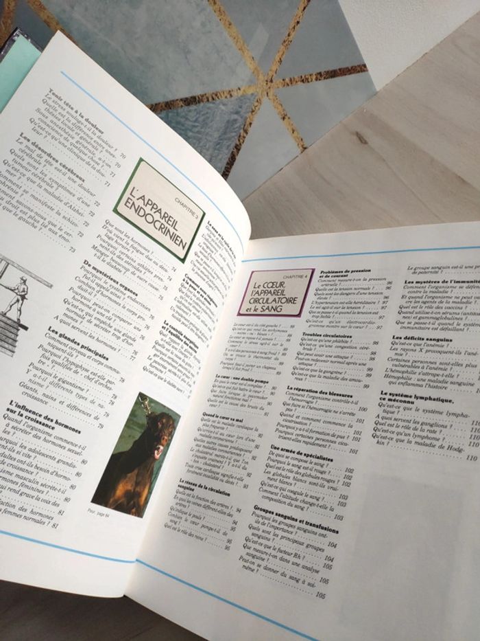 Livre grand format merveilles et secrets du corps humain questions réponses famille - photo numéro 10