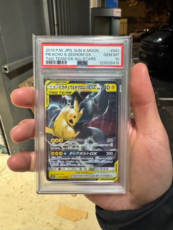 Pokemon pikachu zekrom 041 psa 10