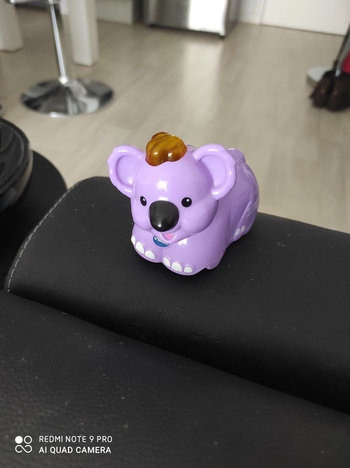 Tut tut Animo koala