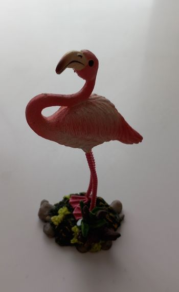 Déco flamand rose