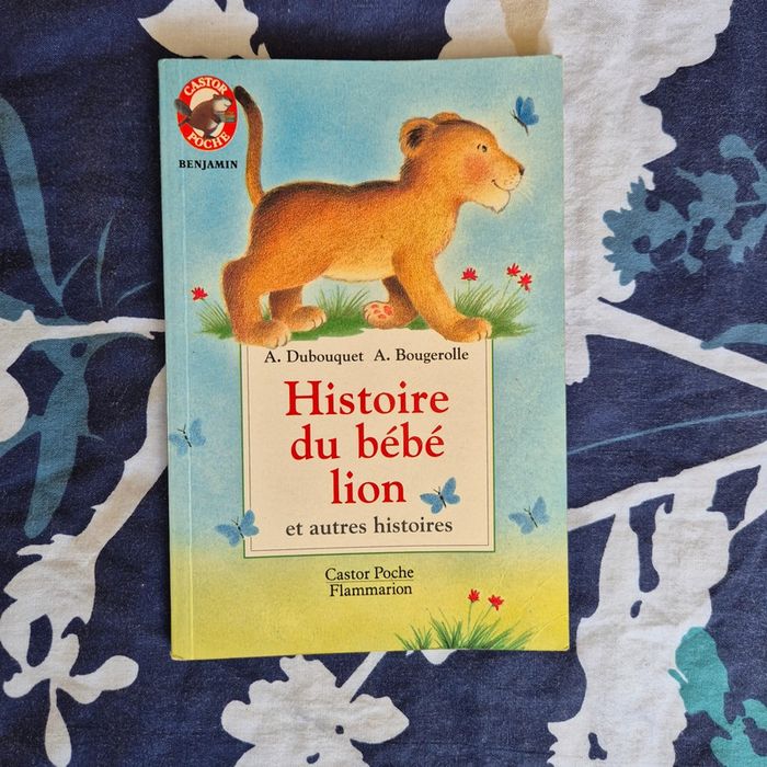 Livre Histoire du bébé lion et autres histoires