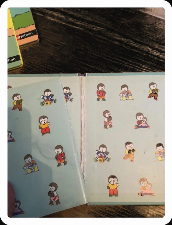 Livres t’choupi - photo numéro 11