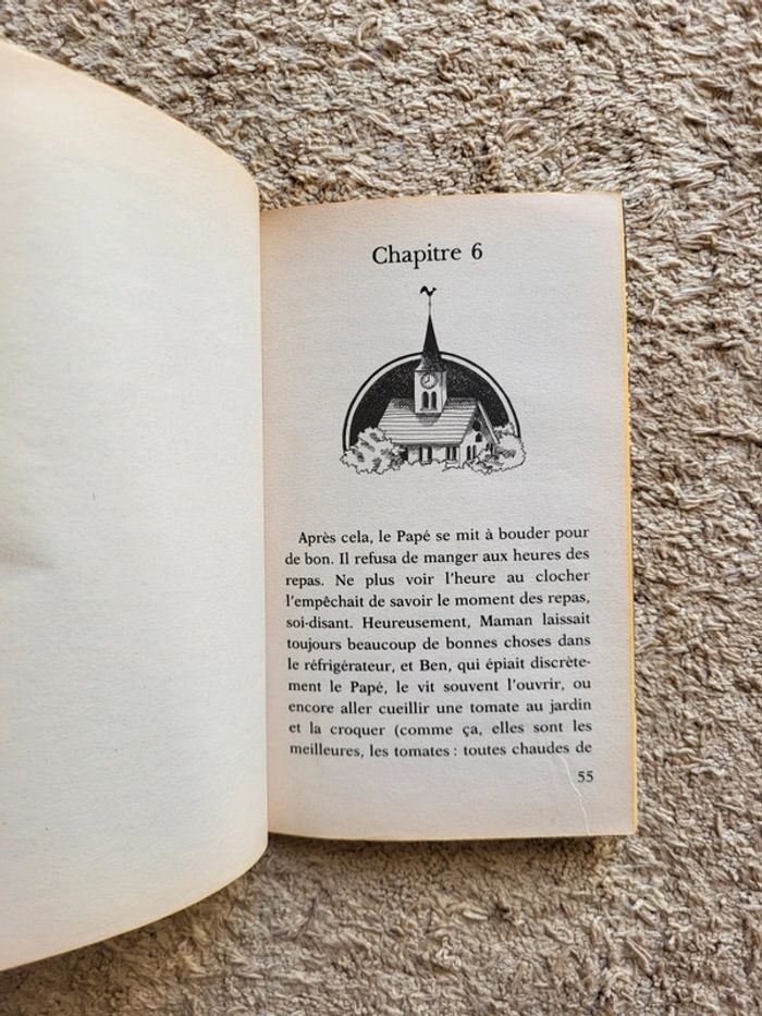 Roman jeunesse L'été où Ben remua le ciel et la terre de Christine Arbogast - photo numéro 7