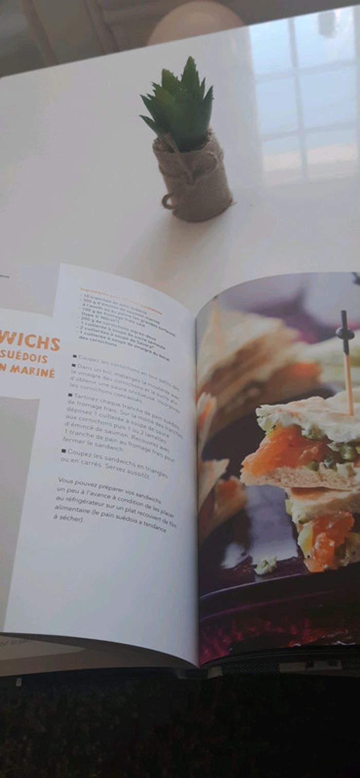 Livre recette apéro et tapas - photo numéro 4