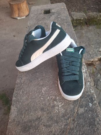Basket Puma 