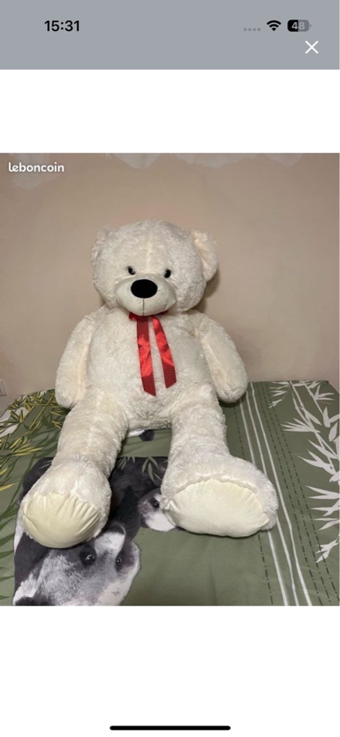 Grand nounours tout doux - photo numéro 2