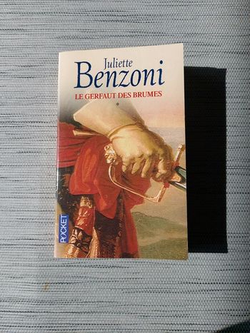 Le Gerfaut des brumes - tome 1