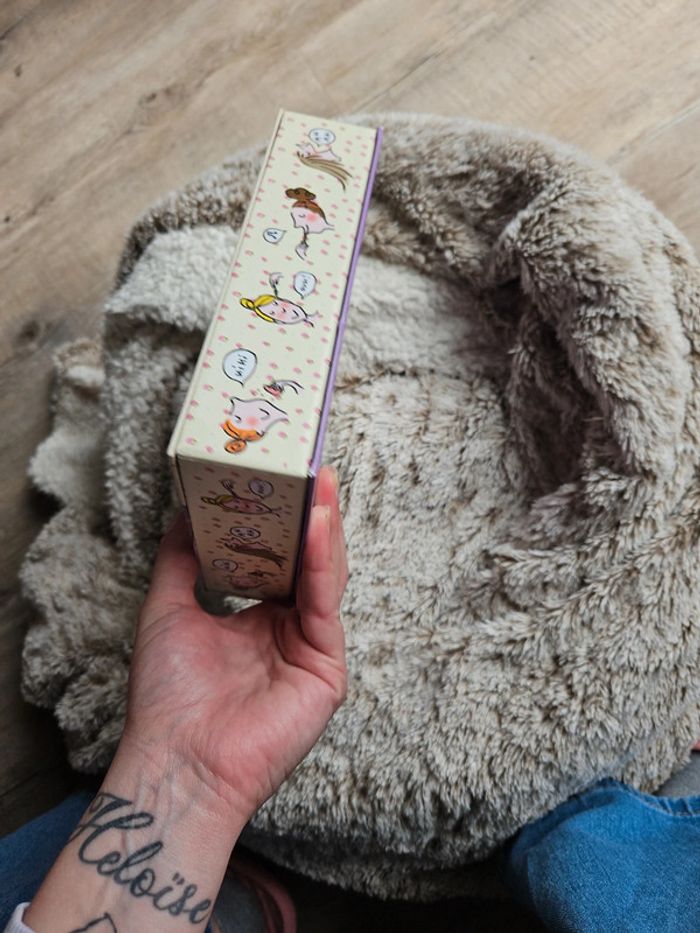 Boite livres les paresseuses - photo numéro 5