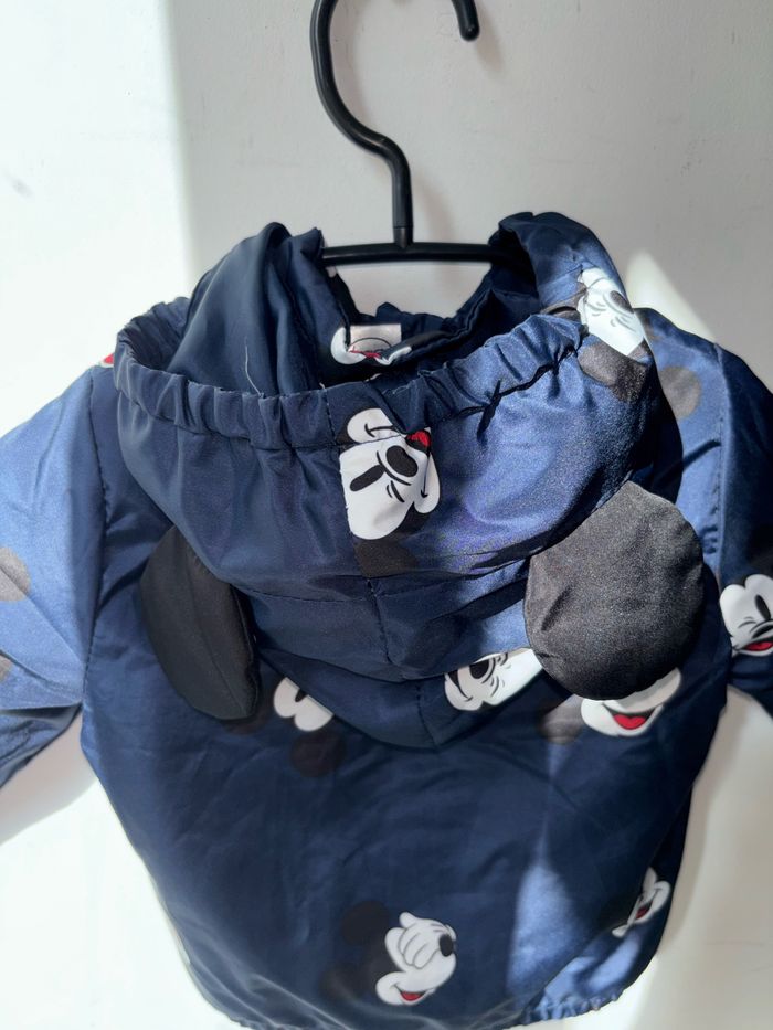 Veste Mickey - photo numéro 4
