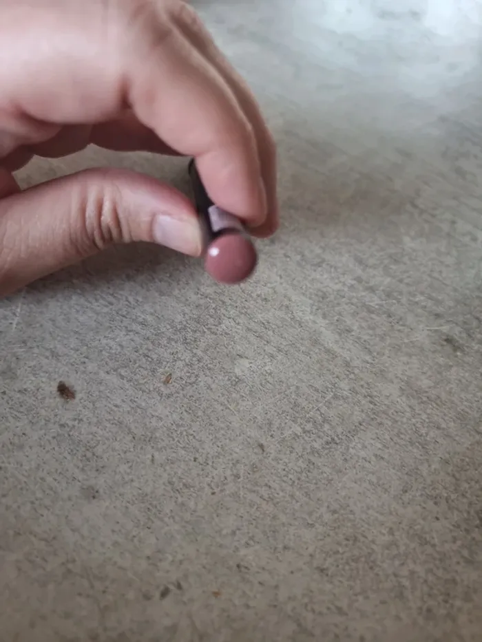 Crayon maquillage yeux lèvre joue all tigers - photo numéro 4