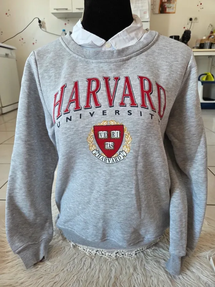 🤗 Pull chaud femme T.M Harvard