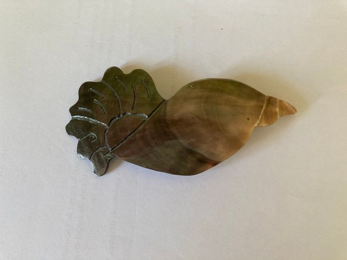 Broche coquillage