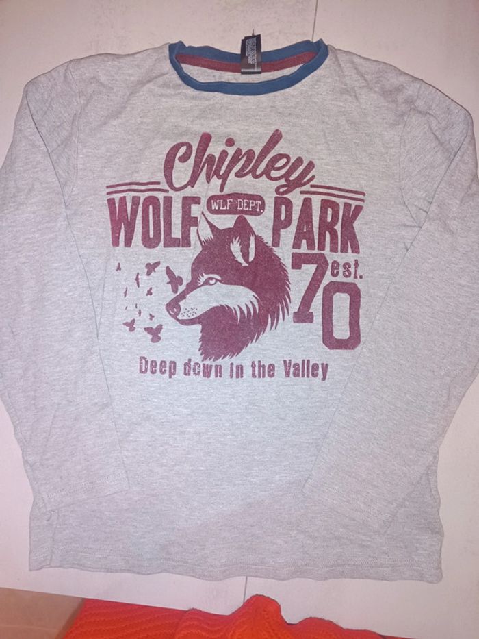 Tee shirt manches longues taille 146/152 cms