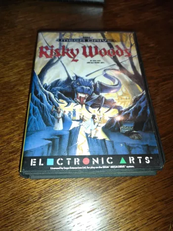 Risky woods Sega Megadrive