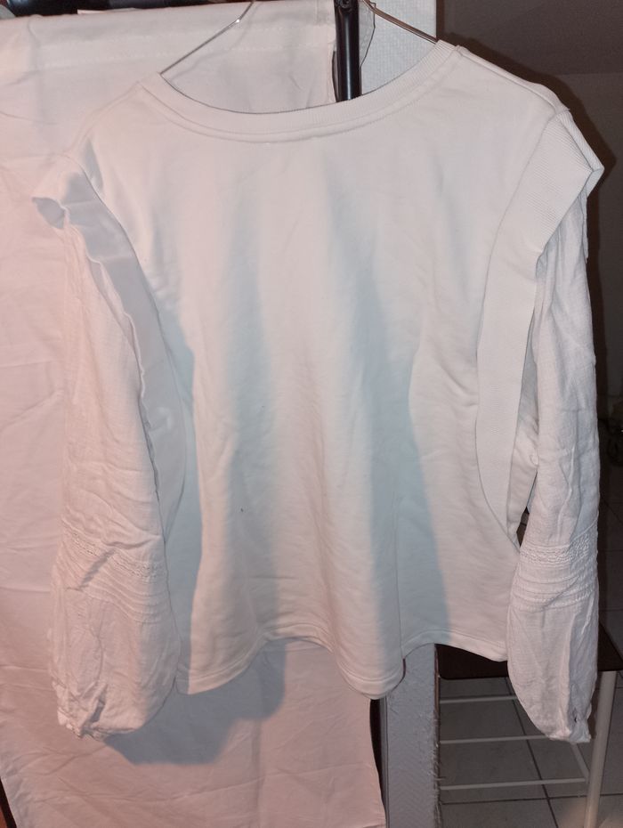 sweat shirt tl - photo numéro 2