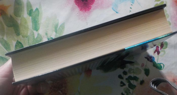 Cette chanson que je n'oublierai jamais de Mary Higgins Clark - photo numéro 5