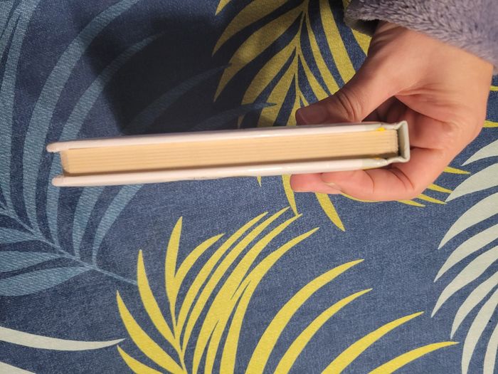 Livre p'tit mickey pilote d'avion disney - photo numéro 3