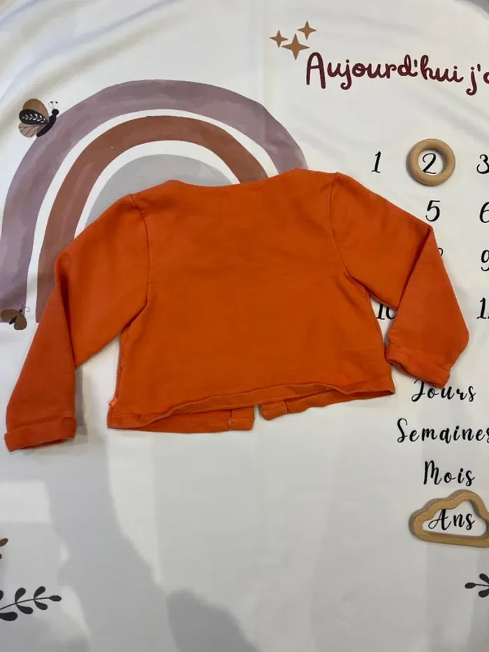 Veste à capuche Obaïbi bébé fille - photo numéro 4