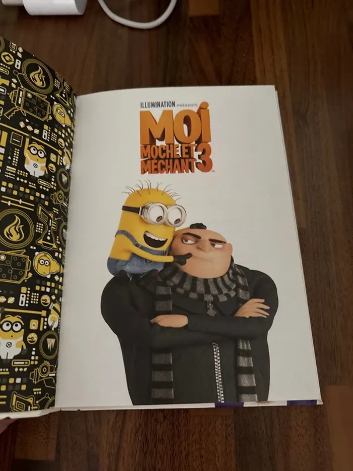 Moi, moche et méchant- le roman du film - photo numéro 4