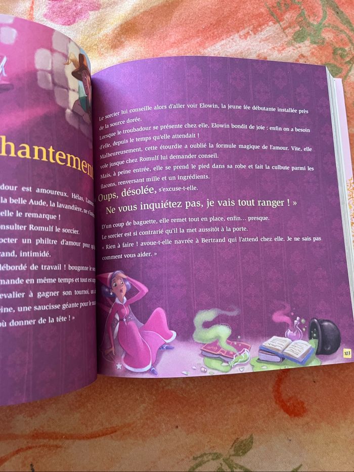 Histoires de princesses - photo numéro 4