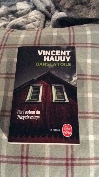 #dans la toile par Vincent Hauuy