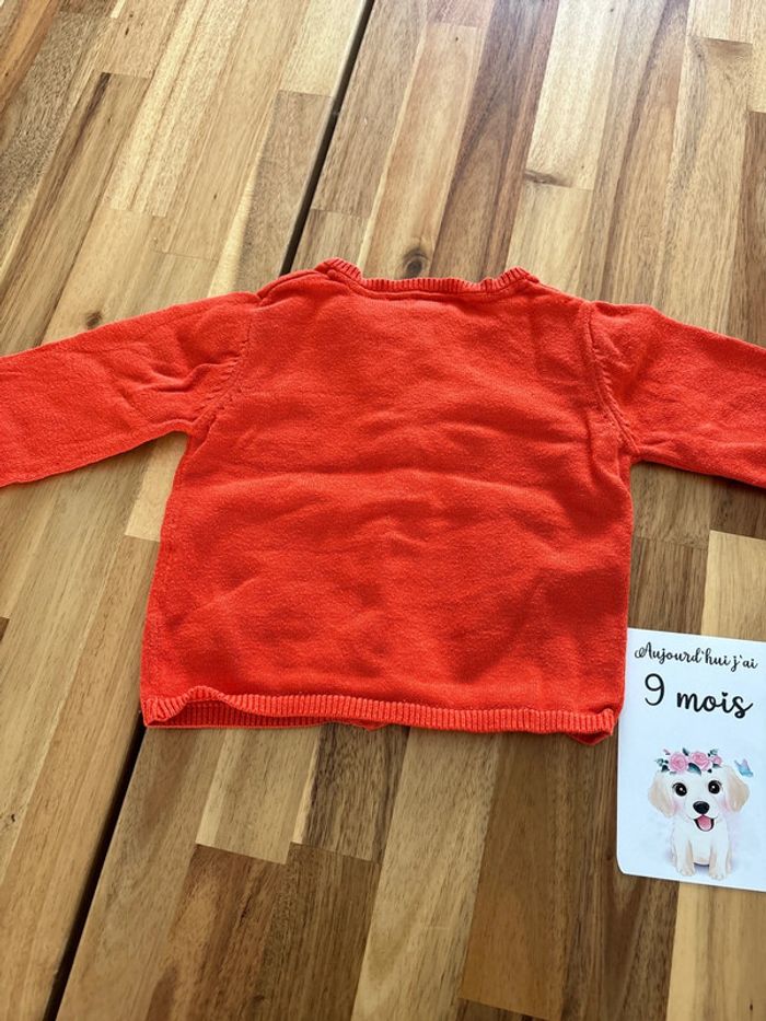 Gilet orange - photo numéro 6