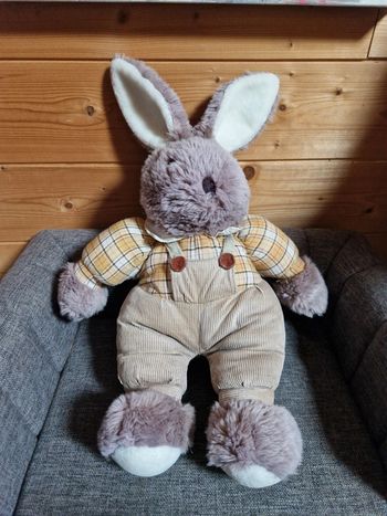 Très beau lapin en peluche habillé