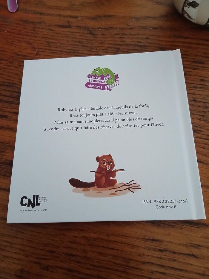 L'écureuil qui ne faisait pas de provisions - photo numéro 2