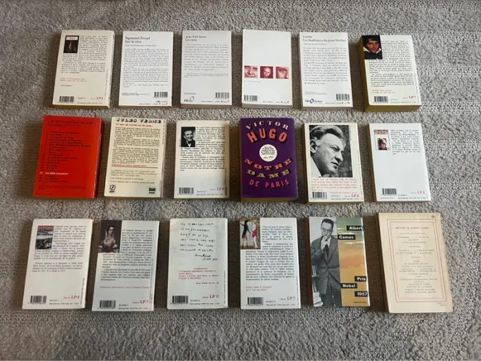 Collection de 18 livres littérature Française - photo numéro 2