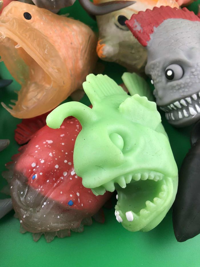 Lot de poissons - photo numéro 2