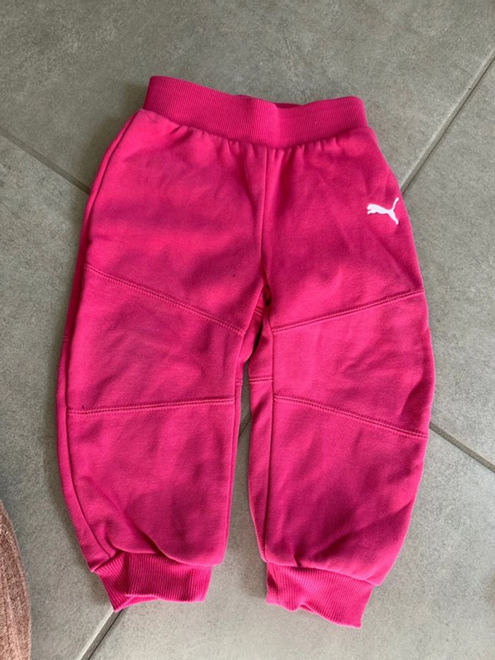 Ensemble puma - photo numéro 5