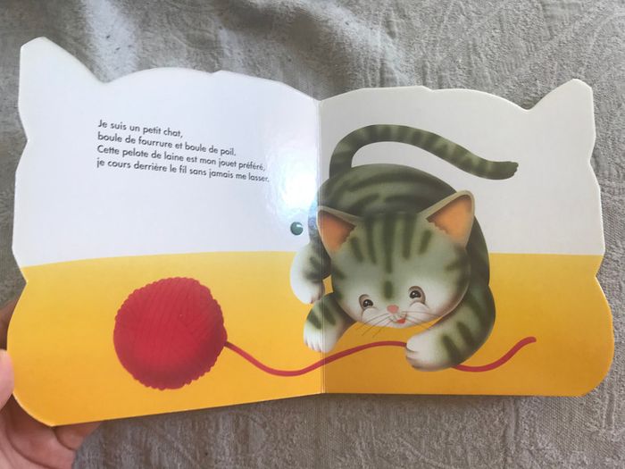 Je suis un petit chat - photo numéro 3