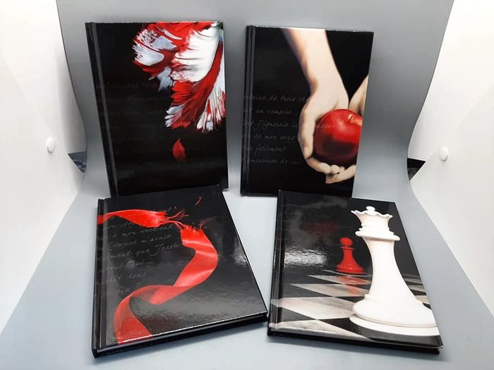 Coffret Twilight - photo numéro 3
