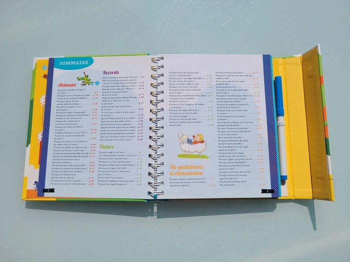 Livre avec feutre effaçable Dis Pourquoi la mer est salée ? (48) - photo numéro 4